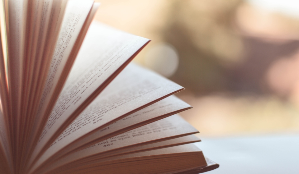 Self Publishing Erfahrungen